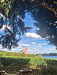 Yoga am romantischen Mittelrhein