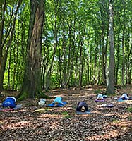 Yoga im Wald mit kleinem Waldspaziergang
