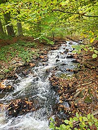 Yoga am Bach